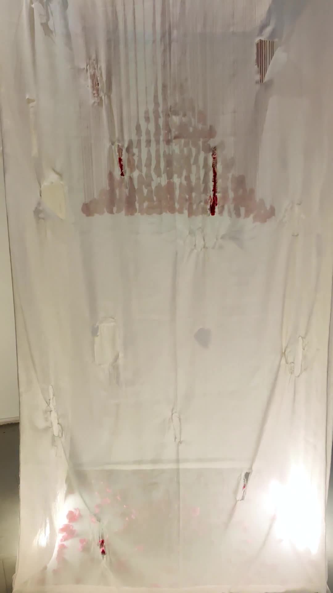 filename: champions-of-freedom-through-and-through-video-1