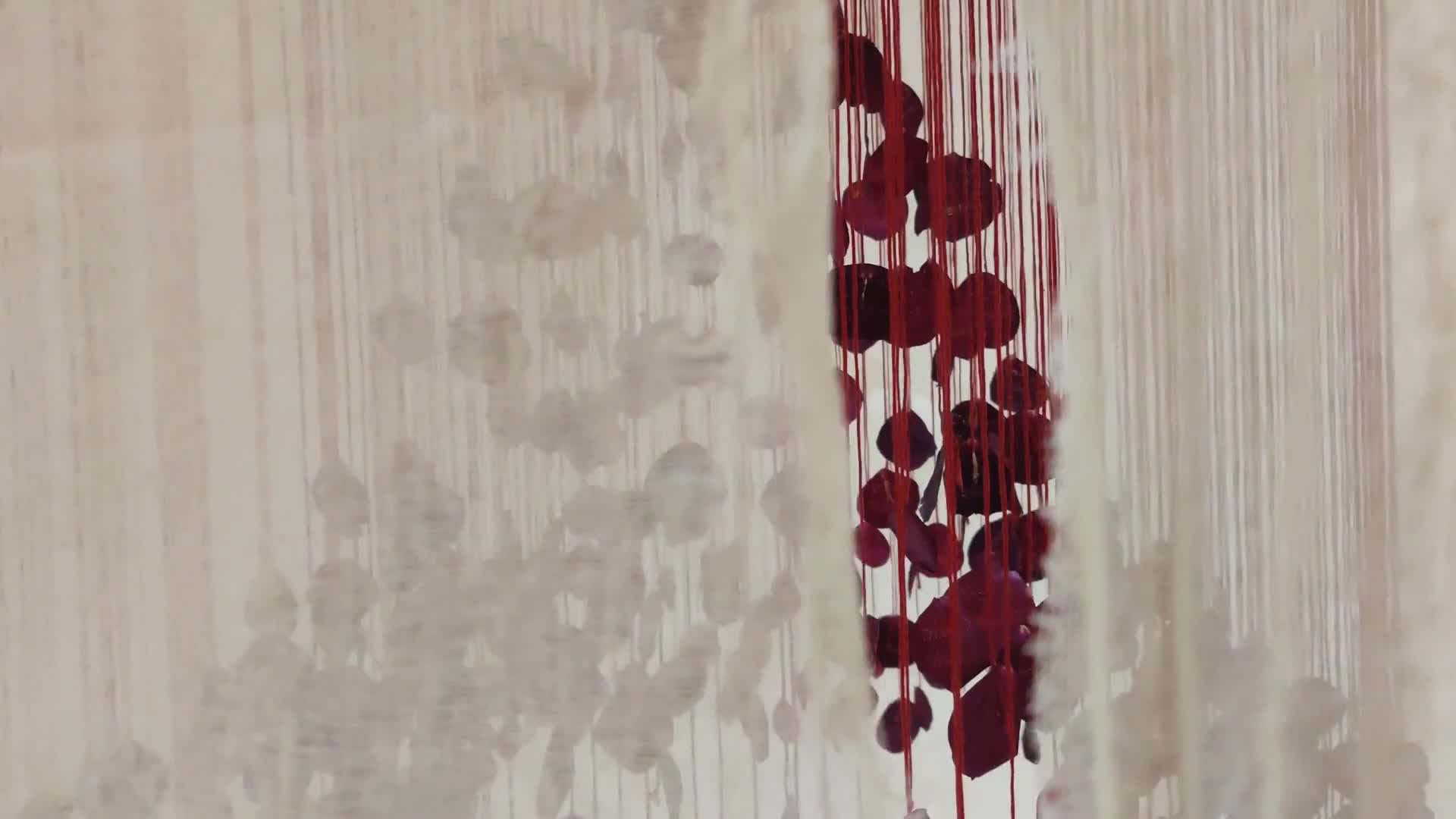 filename: champions-of-freedom-through-and-through-video-2