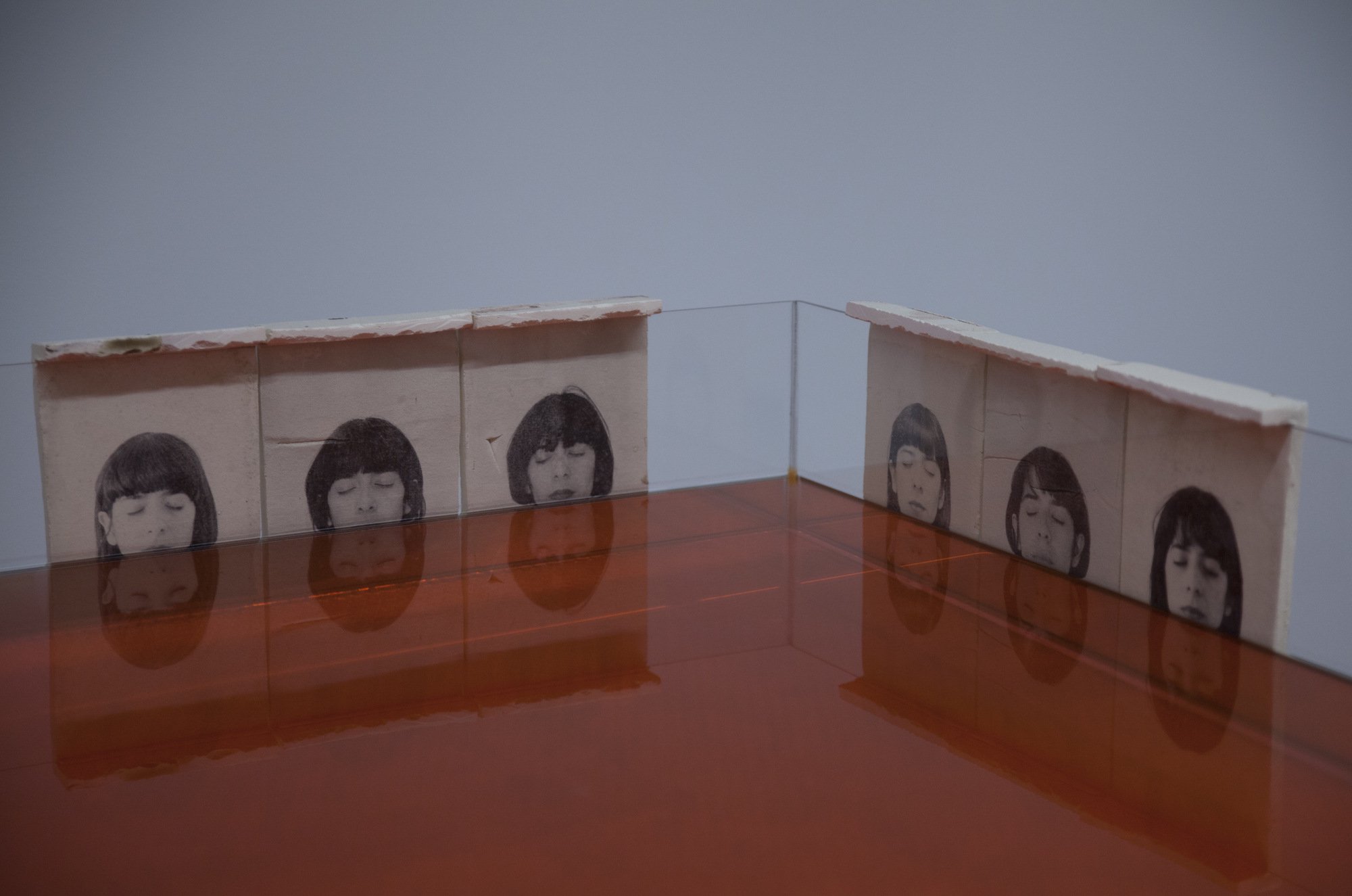 filename: for-the-silenced-for-the-forgotten-11